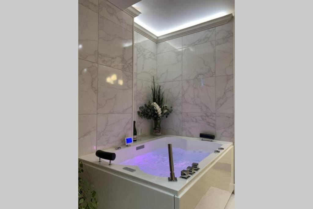 Apartment V' Haussmannien Troyes